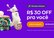 bruhnna_a_23_06